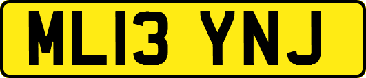 ML13YNJ