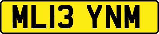 ML13YNM