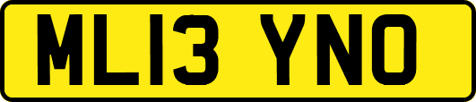 ML13YNO