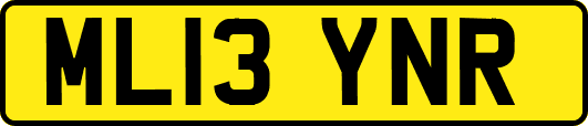 ML13YNR