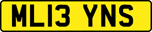 ML13YNS