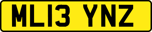 ML13YNZ