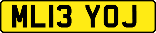 ML13YOJ