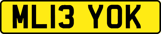 ML13YOK