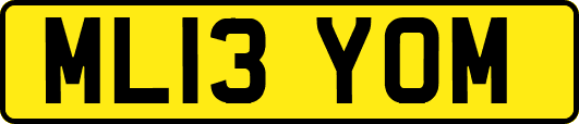 ML13YOM