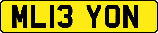 ML13YON