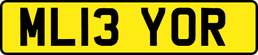 ML13YOR