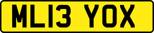 ML13YOX