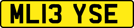ML13YSE