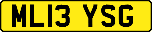 ML13YSG