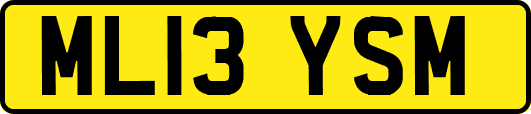 ML13YSM