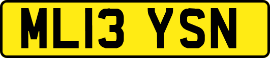 ML13YSN
