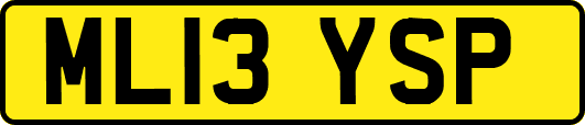 ML13YSP