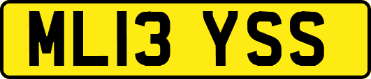 ML13YSS