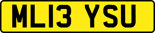 ML13YSU