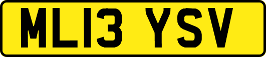 ML13YSV