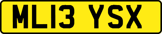 ML13YSX