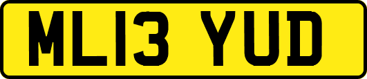 ML13YUD