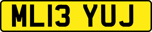 ML13YUJ