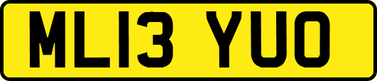 ML13YUO