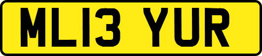 ML13YUR