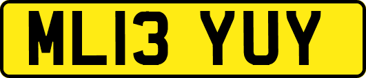 ML13YUY
