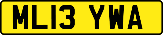 ML13YWA
