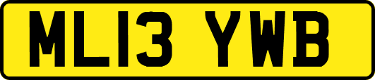 ML13YWB