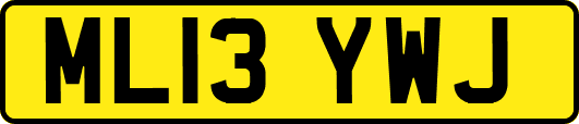 ML13YWJ