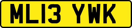 ML13YWK