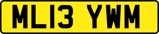 ML13YWM