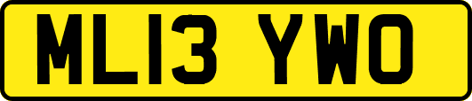 ML13YWO