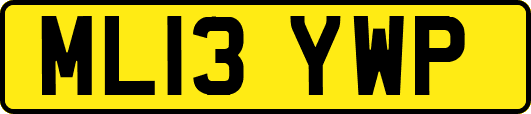 ML13YWP