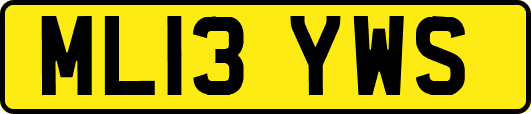 ML13YWS
