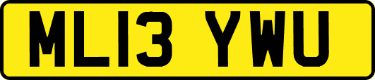 ML13YWU