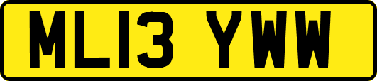 ML13YWW