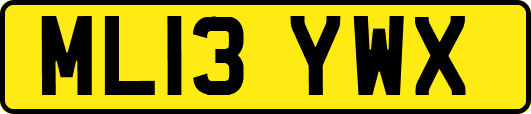 ML13YWX