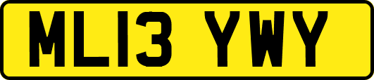 ML13YWY