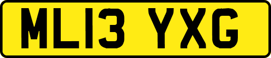 ML13YXG