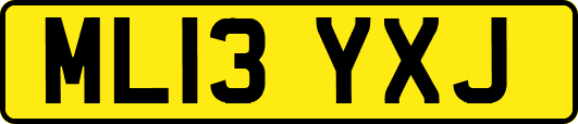 ML13YXJ