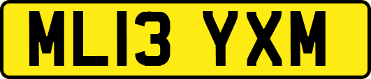 ML13YXM