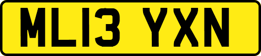 ML13YXN