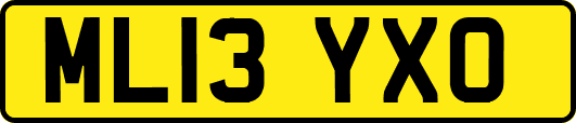 ML13YXO
