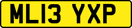 ML13YXP