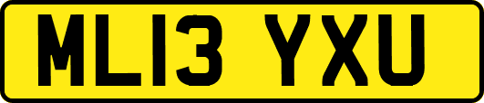 ML13YXU