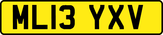 ML13YXV