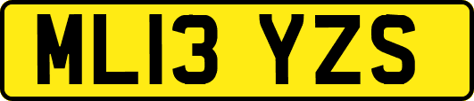 ML13YZS
