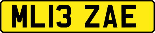 ML13ZAE