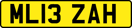 ML13ZAH