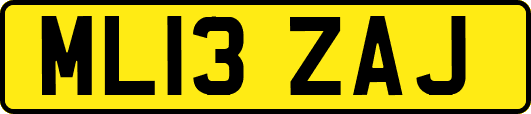 ML13ZAJ